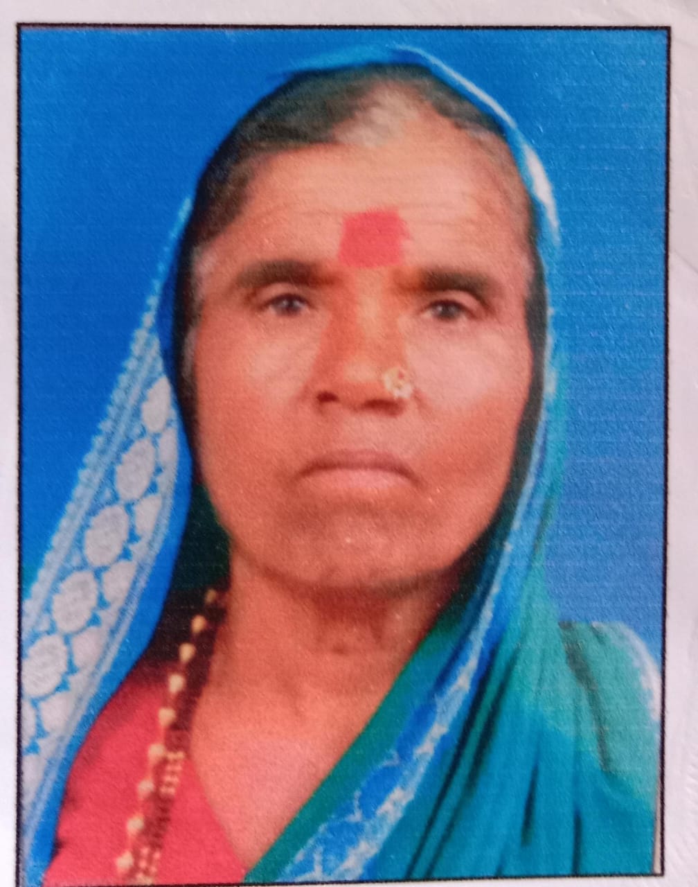 सदस्य
